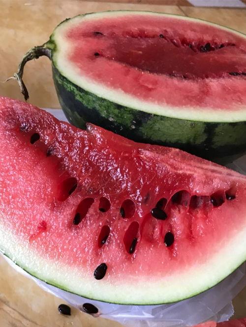 网红大瓜博雅吃瓜视频最全观看.911爆料大揭秘,911爆料大揭秘，网红大瓜一网打尽