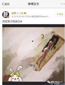 体育圈很乱天涯,乱象背后的真相与反思