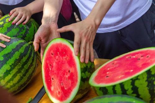 今日吃瓜51,揭秘娱乐圈最新热点事件