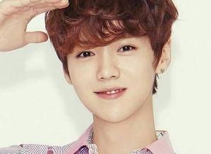 明星排行榜,璀璨星光闪耀娱乐圈