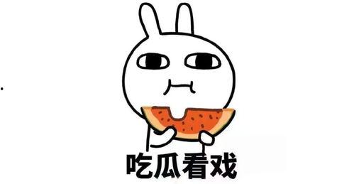 反差 体育圈的瓜是什么意思,揭秘明星背后的真实生活