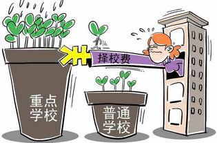 校园生活 热点爆料,揭秘校园生活热点爆料